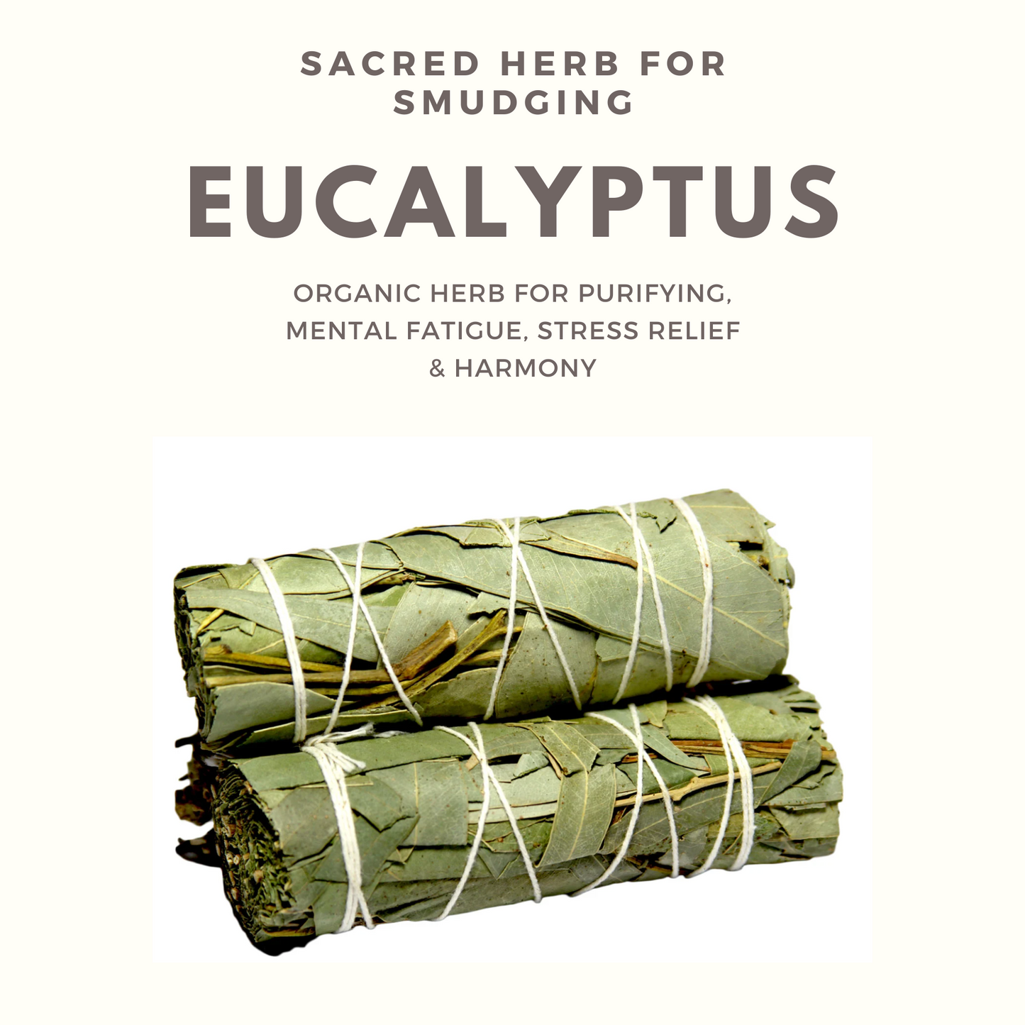 Eucalyptus Smudging Bundle with 7 Chakra healing flower petals